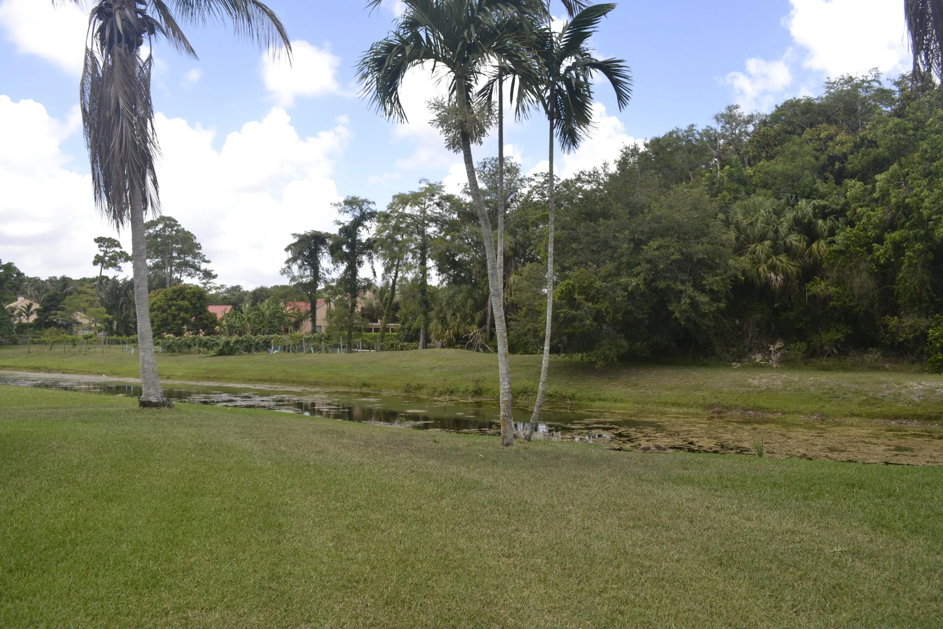 Canal Lot extra privacy