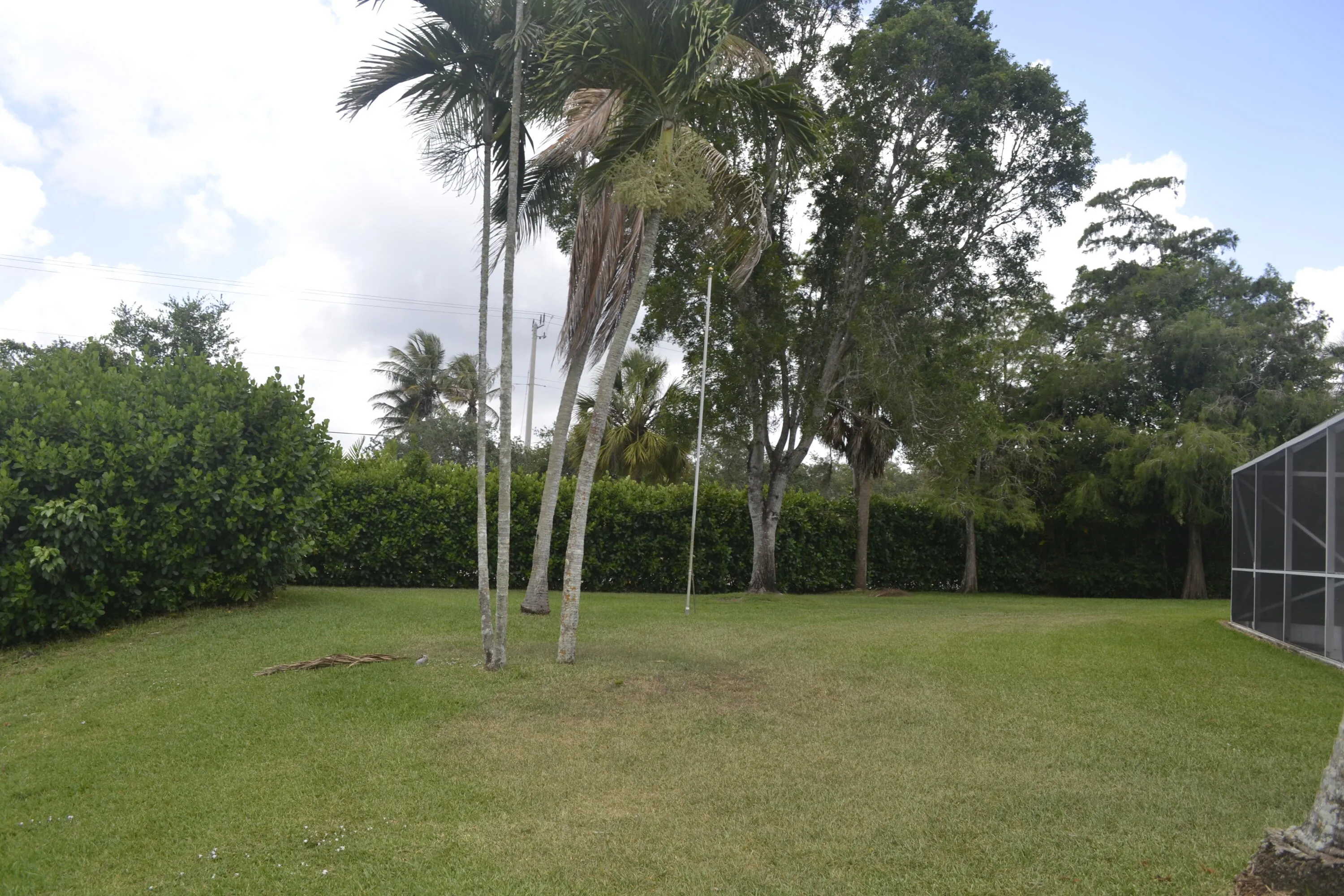 Back yard .39