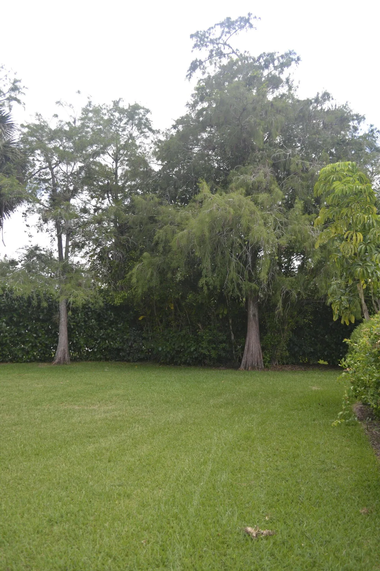 .39 acre private lot on canal