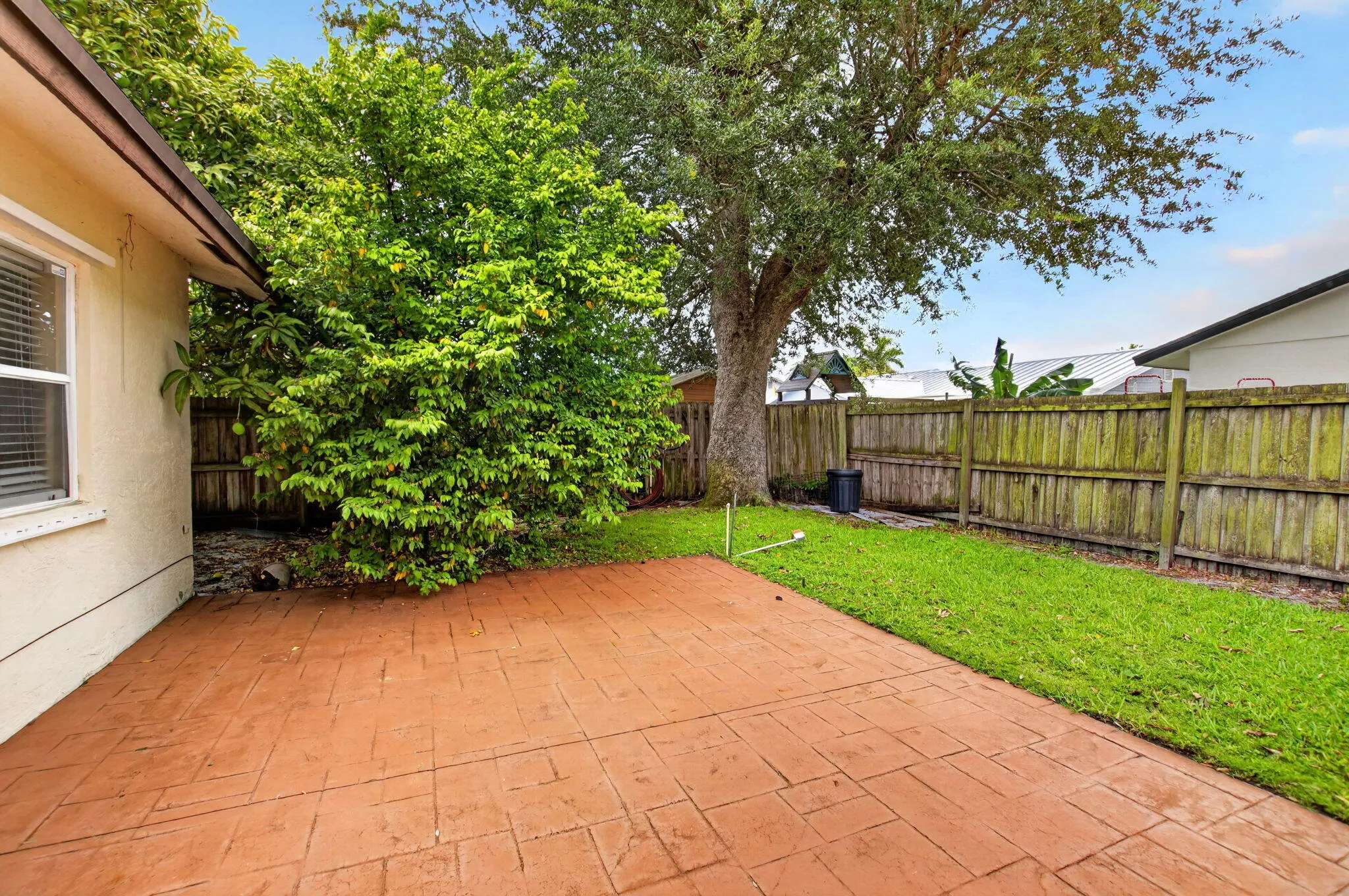 Patio and Backyard