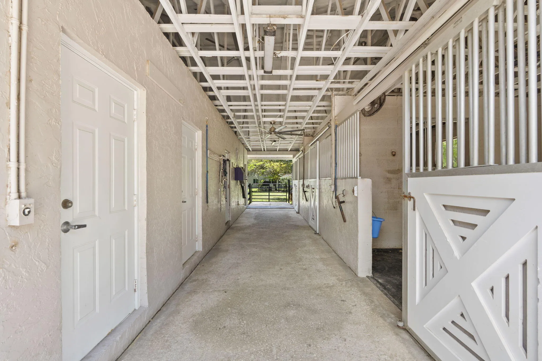 29-web-or-mls-DSC05391