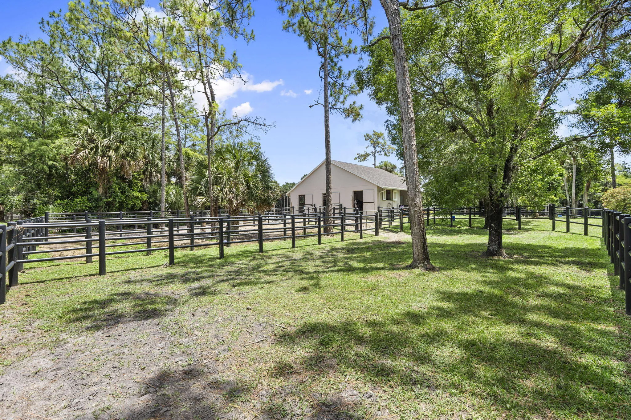 20-web-or-mls-DSC05470