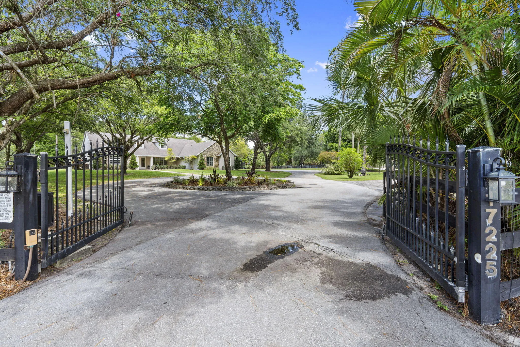 45-web-or-mls-DSC05245