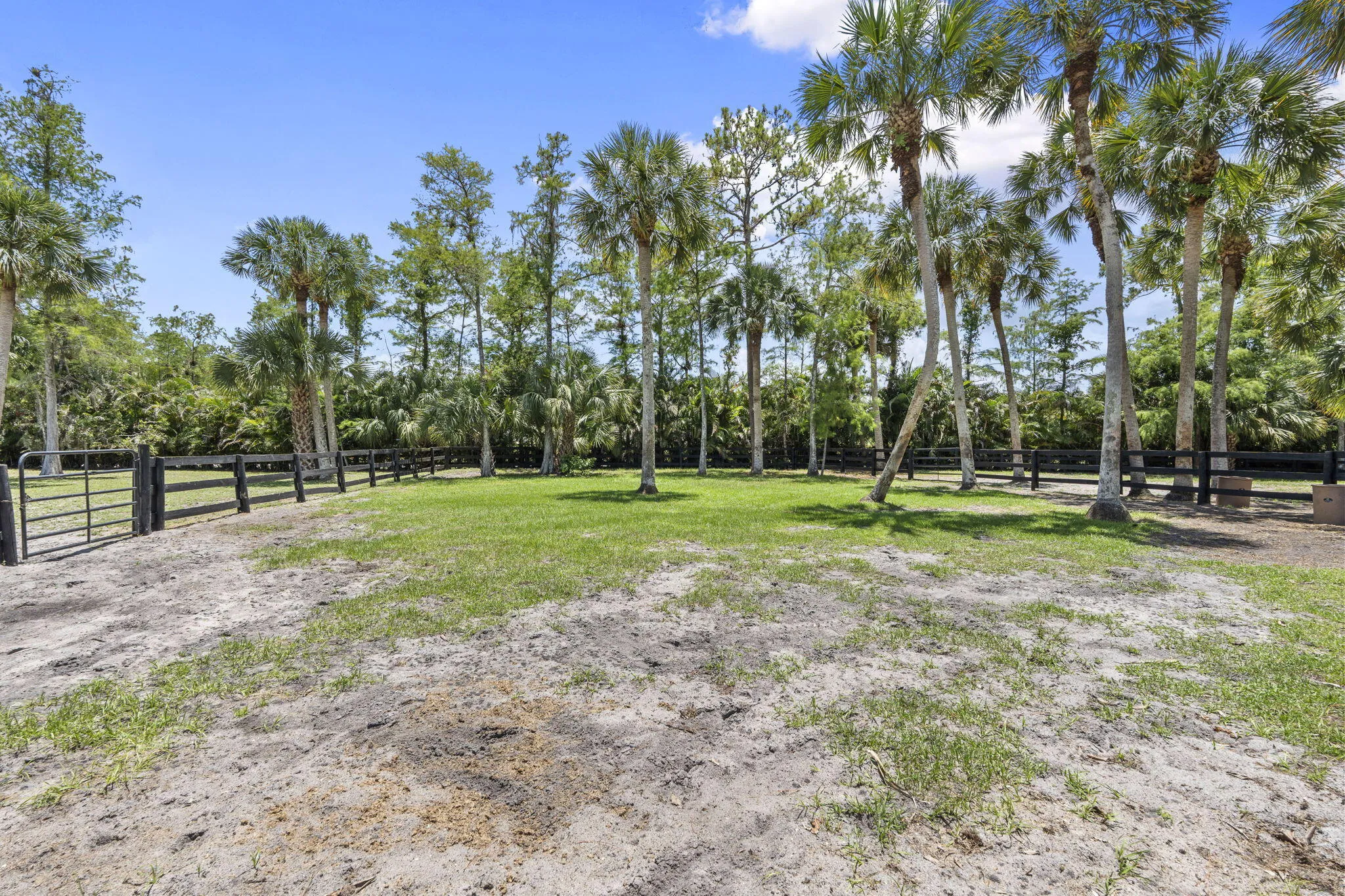 33-web-or-mls-DSC05353