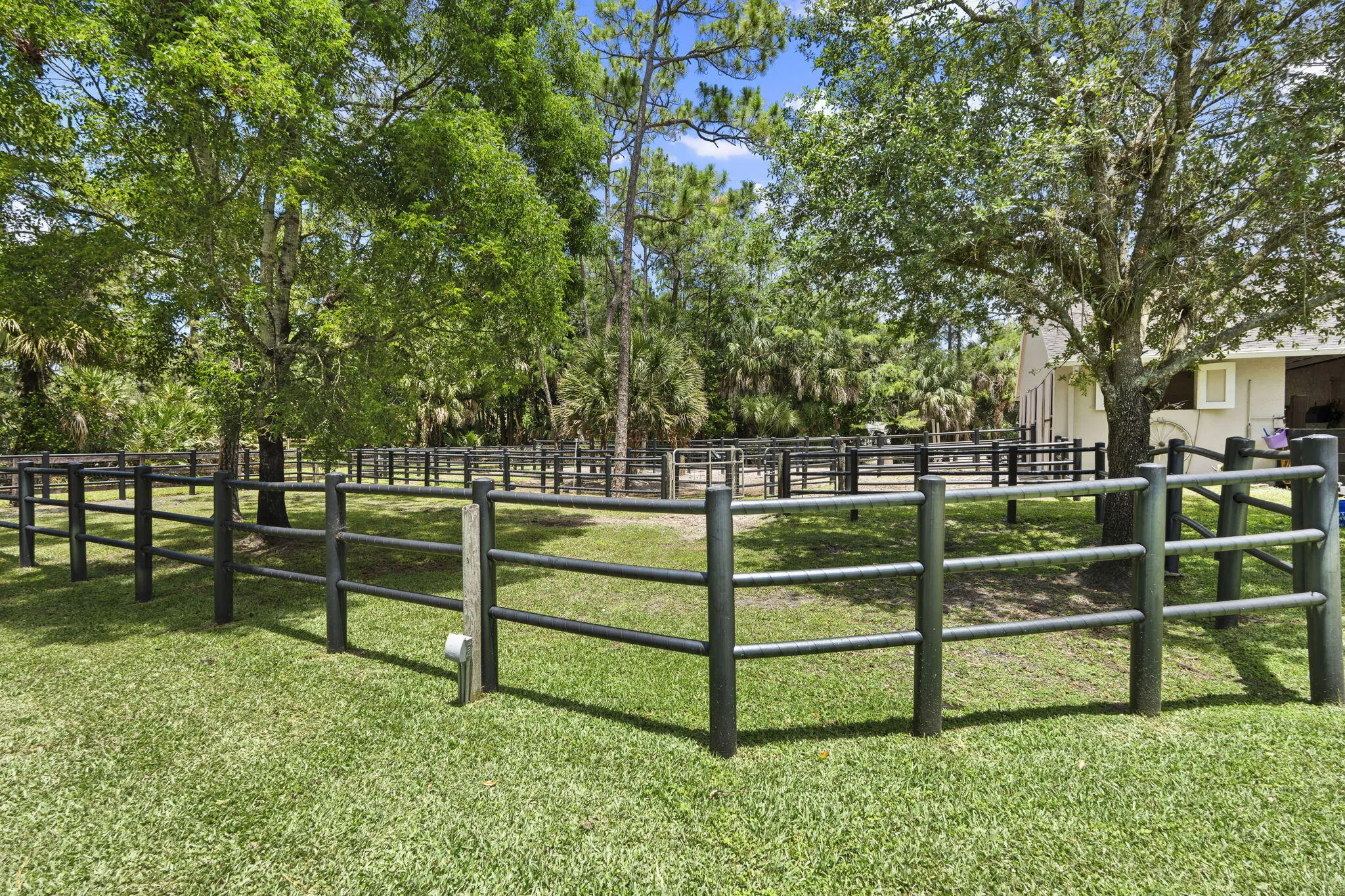 21-web-or-mls-DSC05461