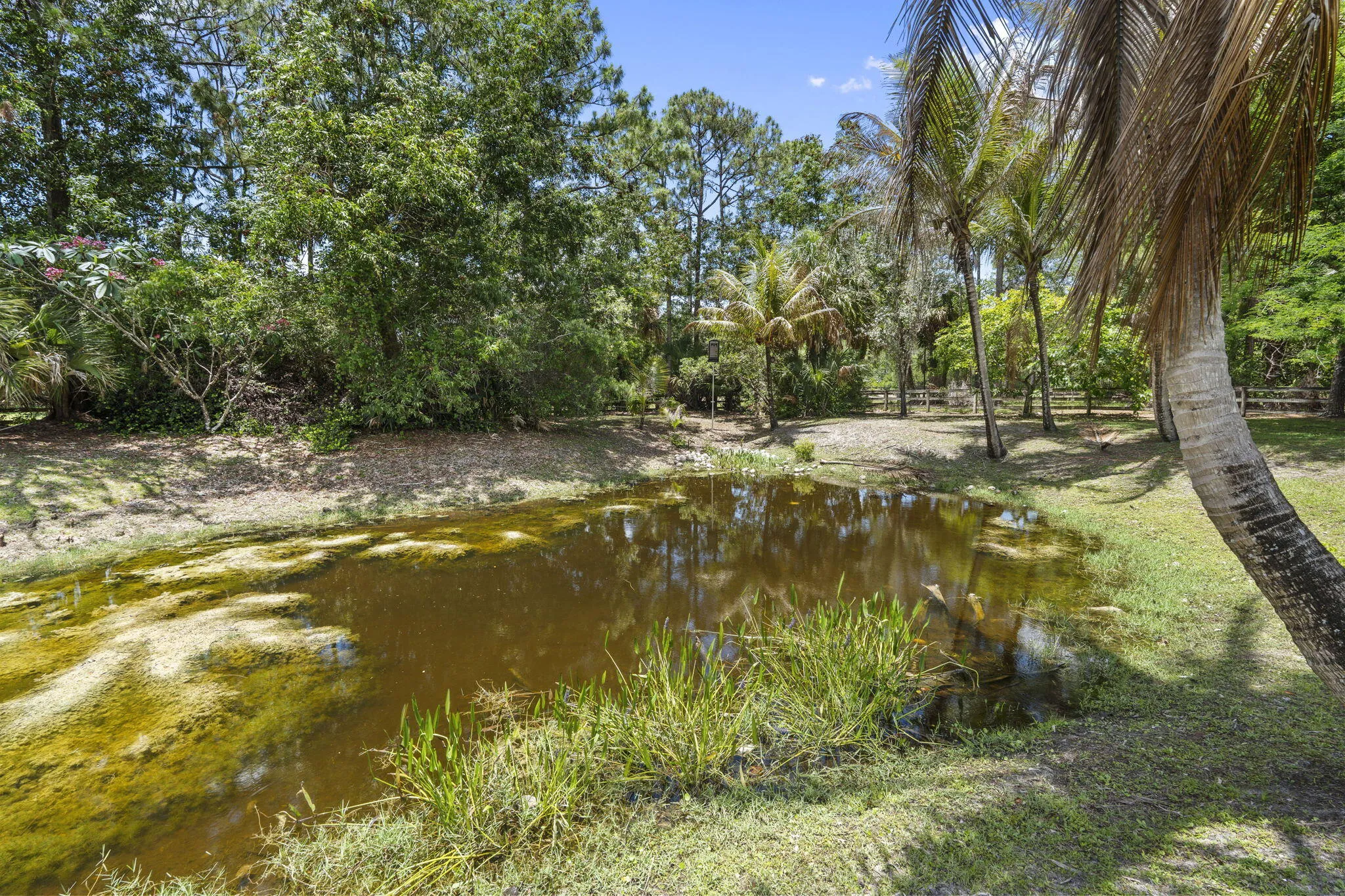 40-web-or-mls-DSC05290