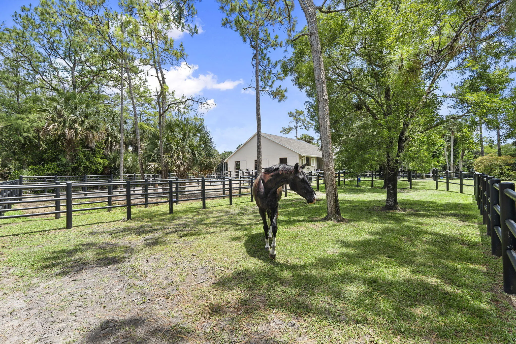 19-web-or-mls-DSC05481