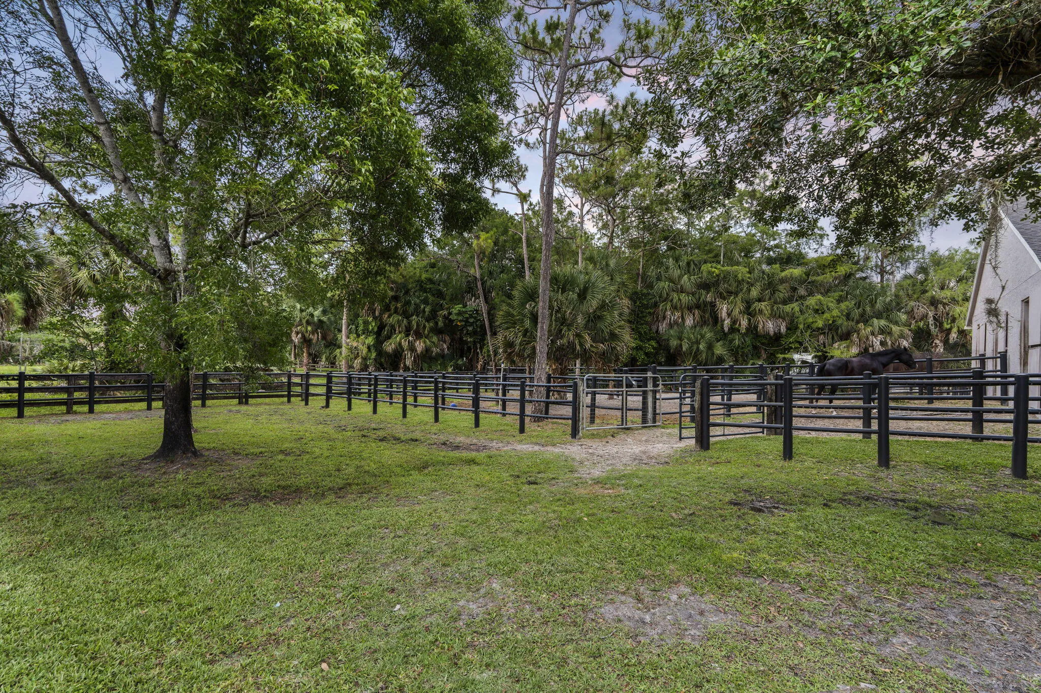 9-web-or-mls-DSC05569