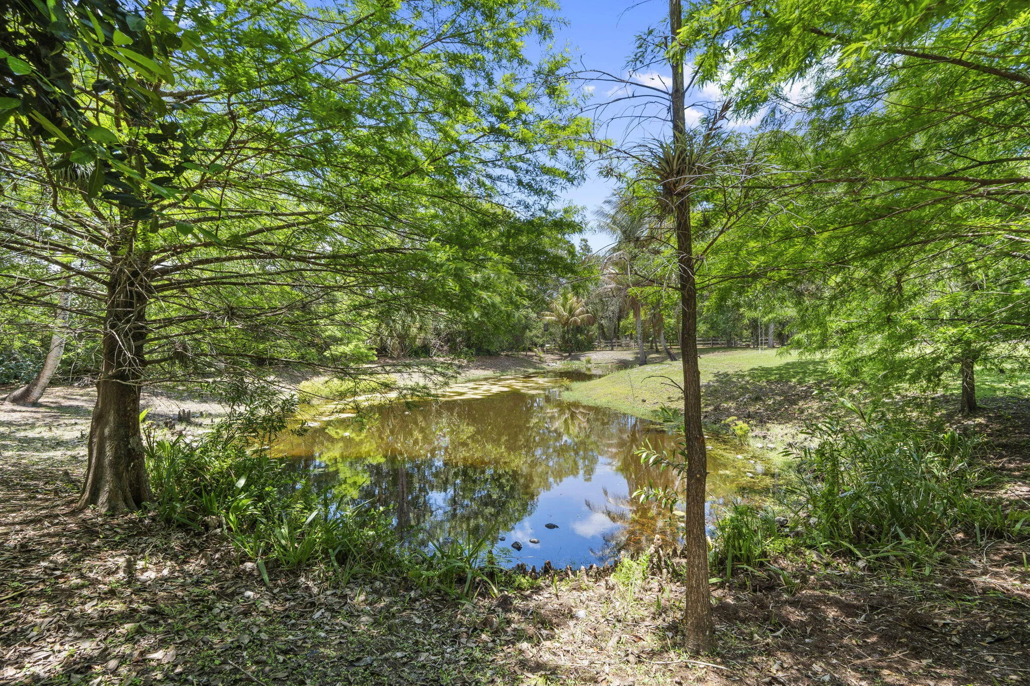 42-web-or-mls-DSC05272