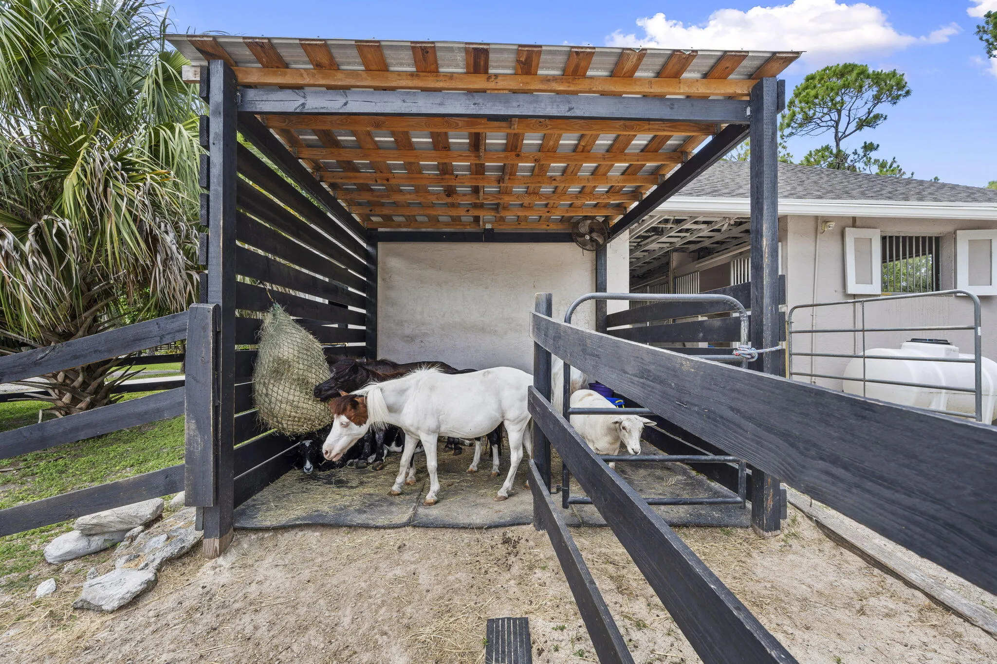 23-web-or-mls-DSC05445