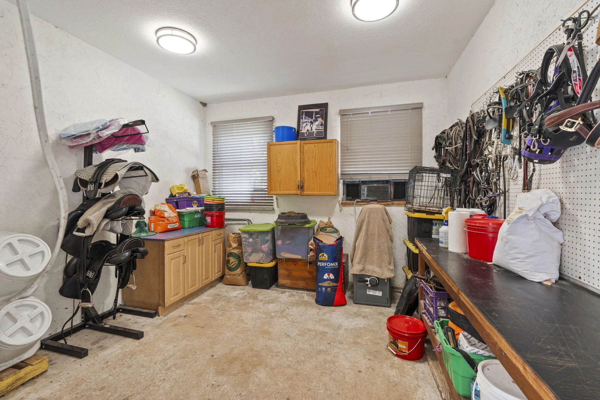 25-web-or-mls-DSC05425