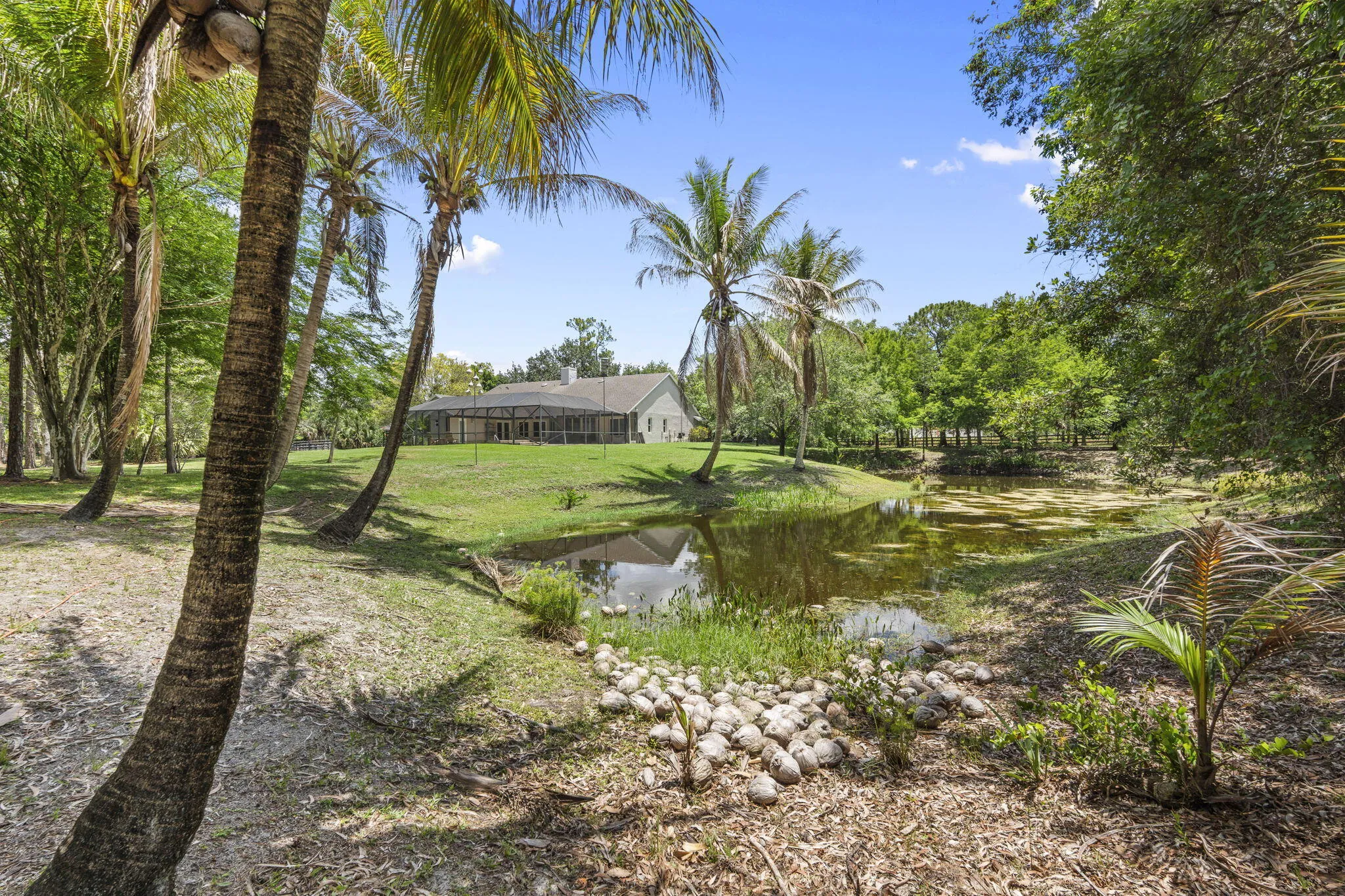 39-web-or-mls-DSC05299
