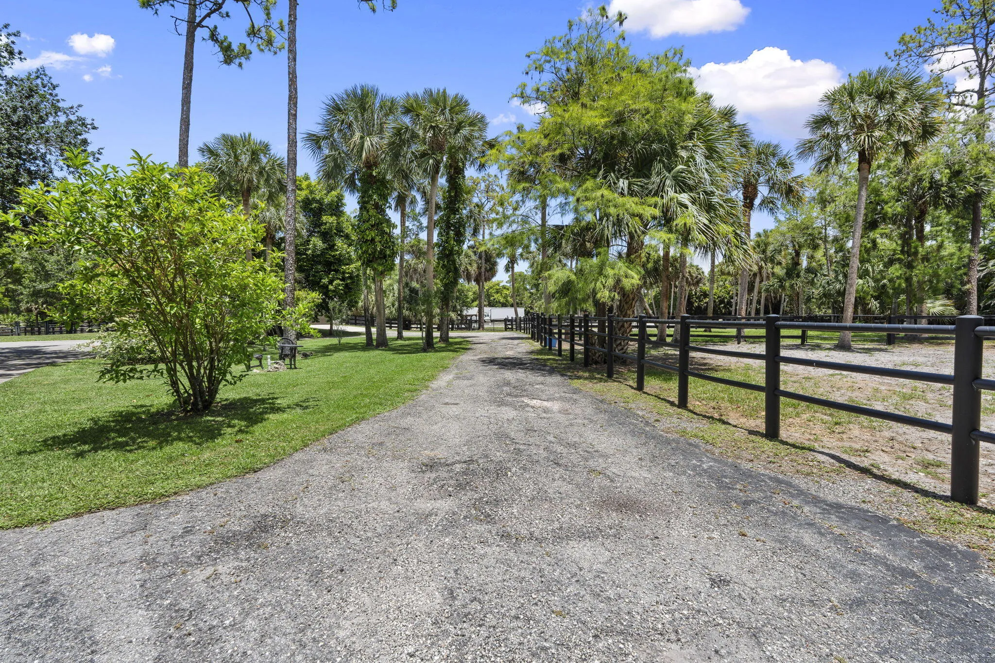 35-web-or-mls-DSC05335