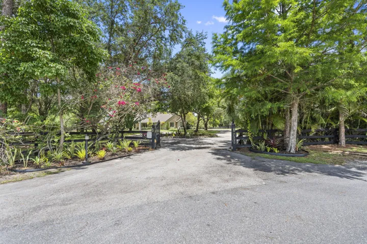 46-web-or-mls-DSC05236