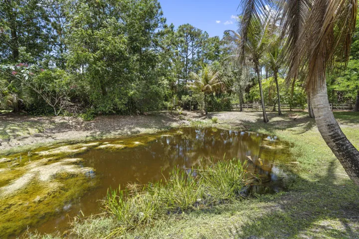 40-web-or-mls-DSC05290