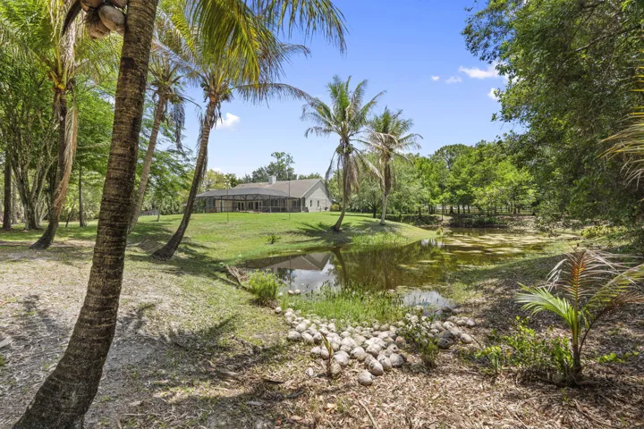 39-web-or-mls-DSC05299