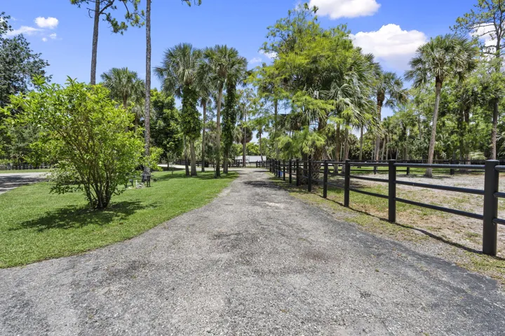35-web-or-mls-DSC05335