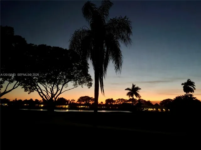 Sunset view