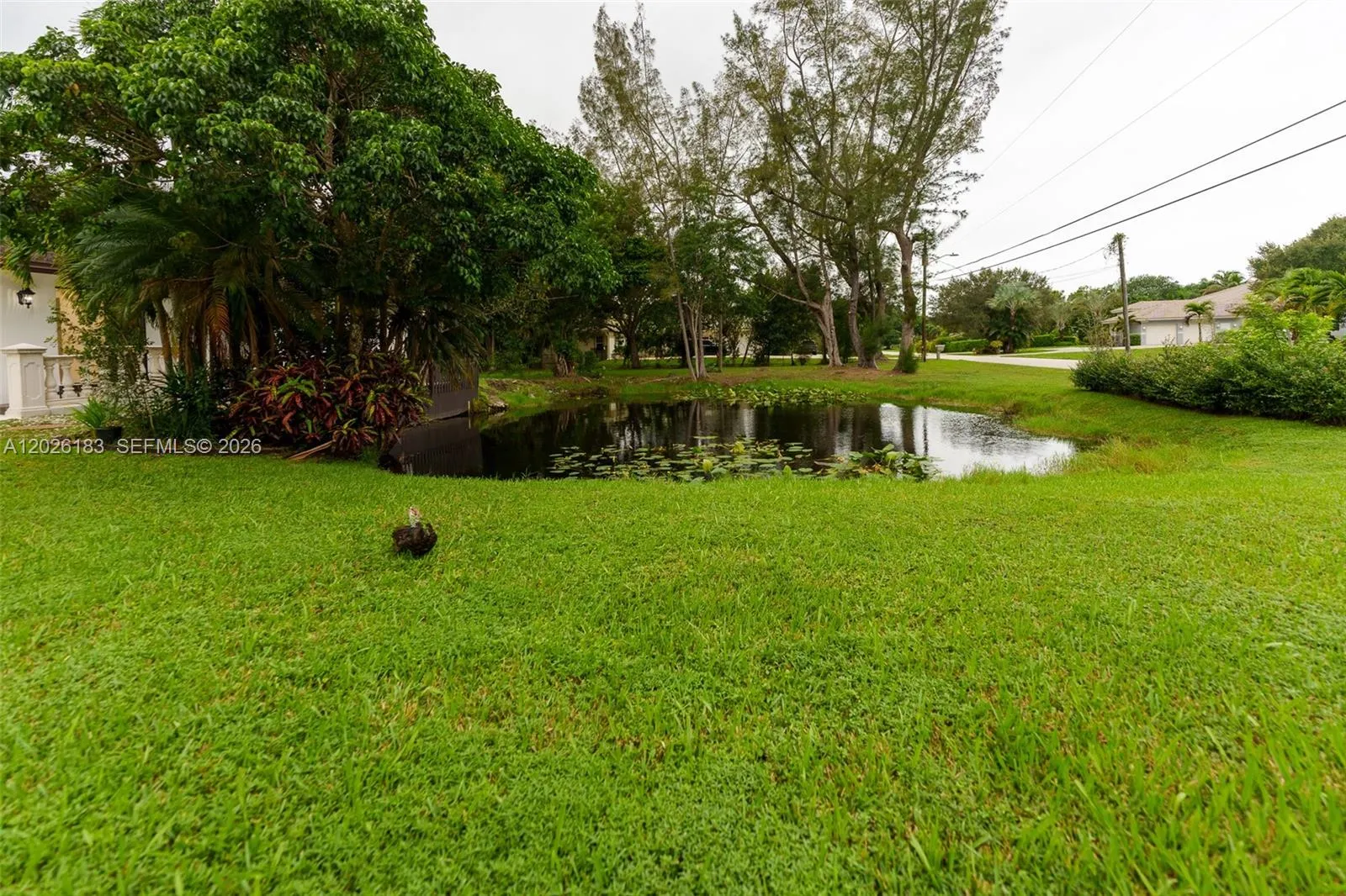 Property photo 33