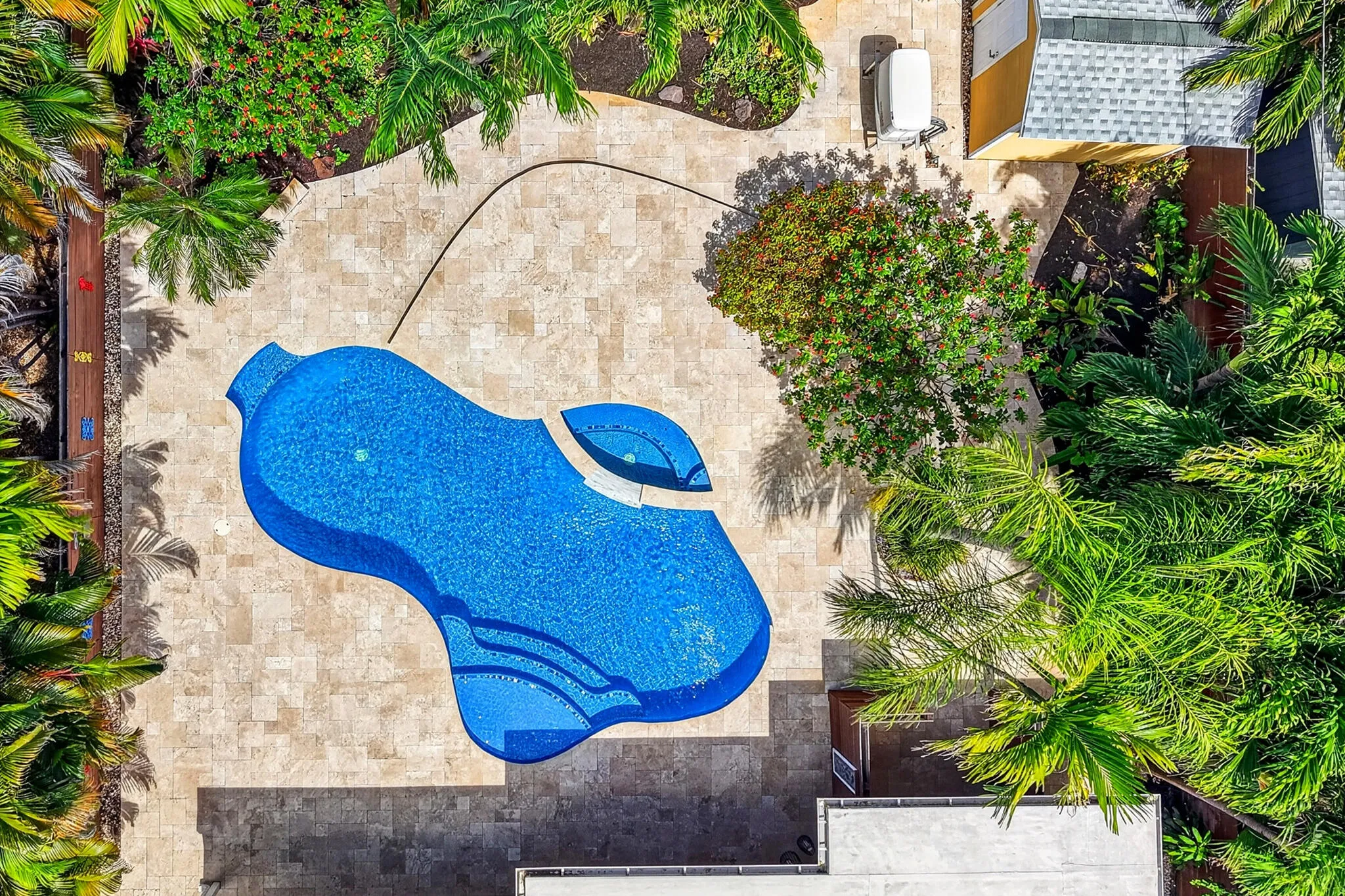 24 Aerial View of Pool Deck and Tropical