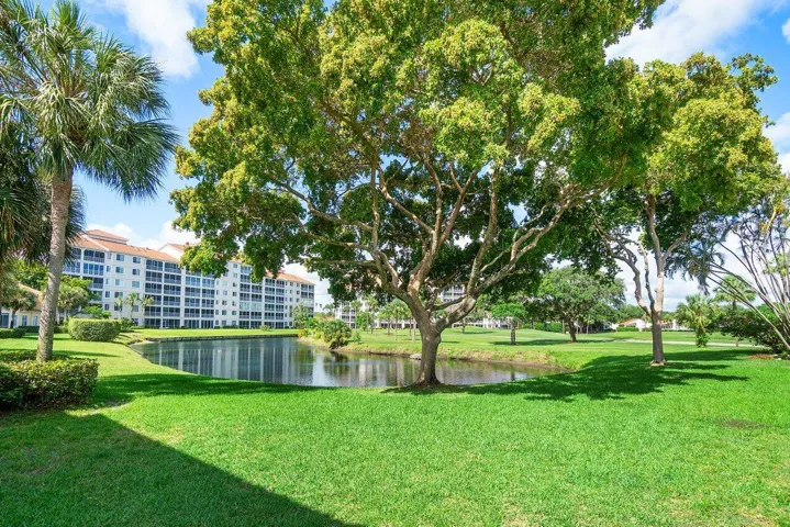 Incredible Views and Greenspace