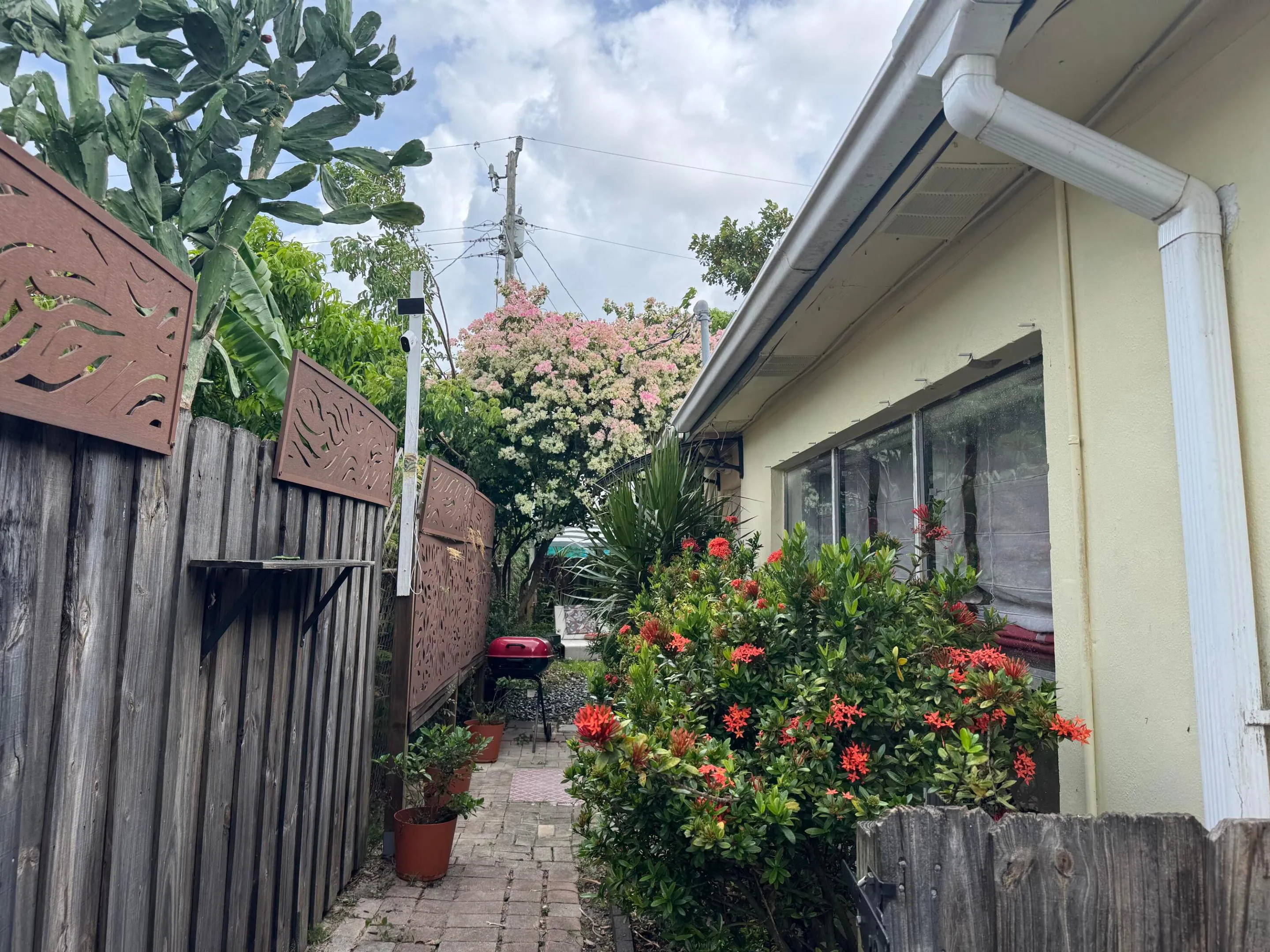new outsise1 today