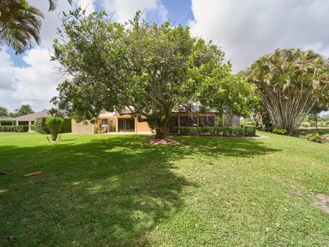 P1171944