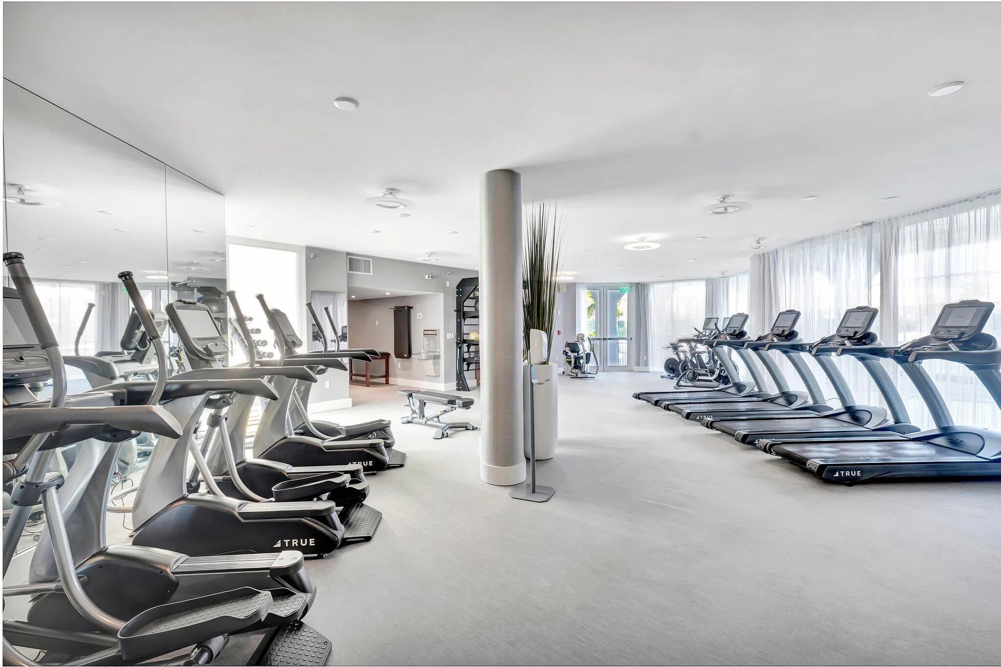 Lots Of Cardio