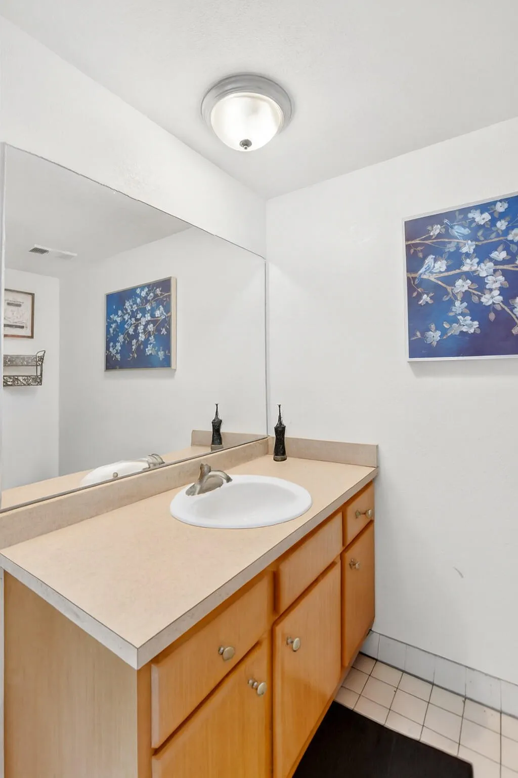25-web-or-mls-699A2894 - Virtual Cleanin