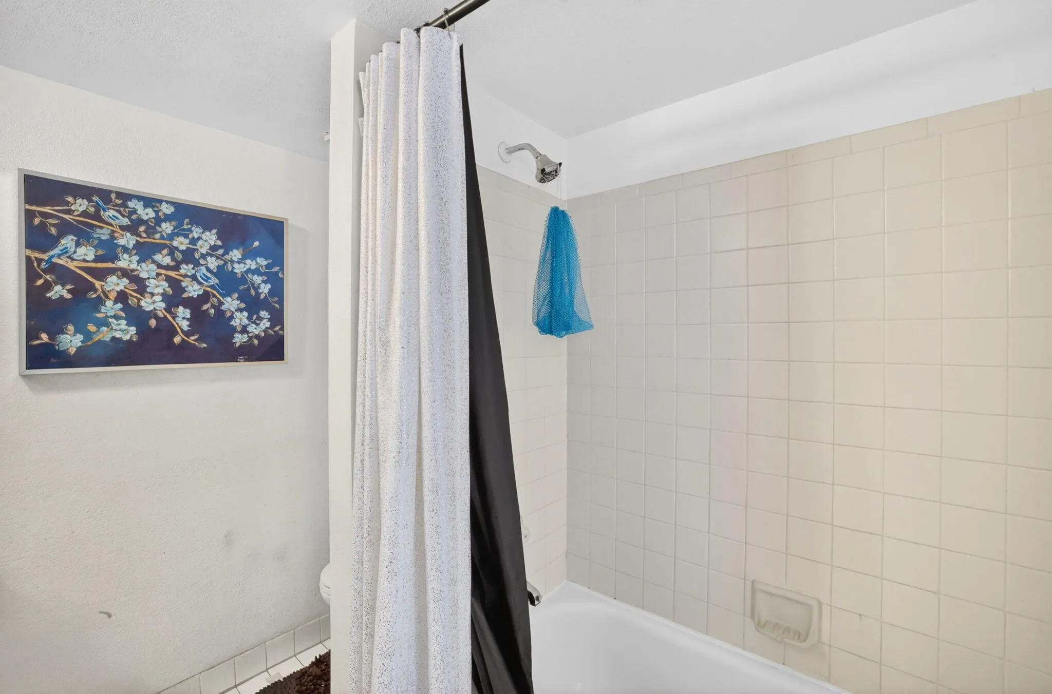 26-web-or-mls-699A2897