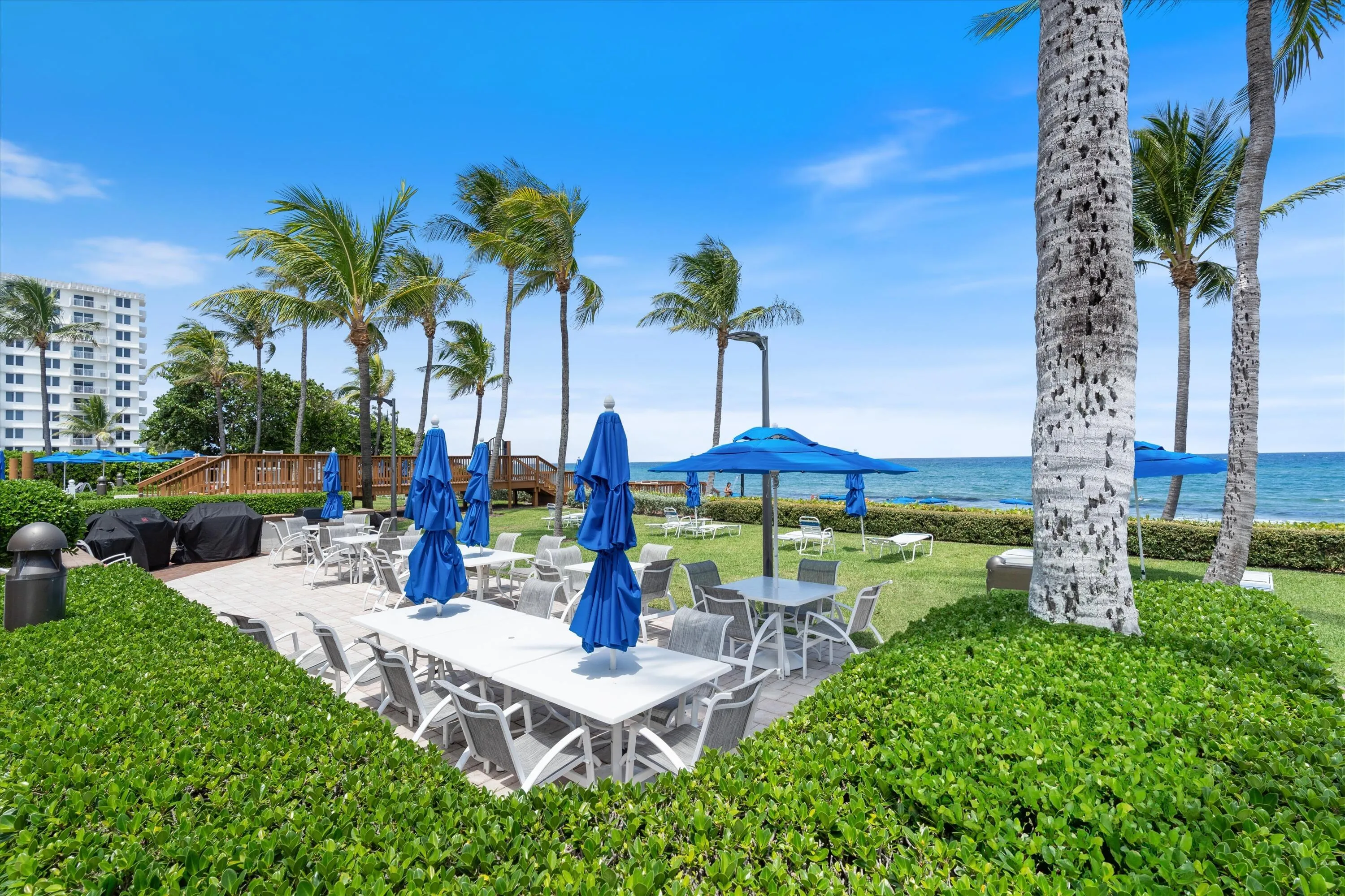 Grill & dine with ocean view