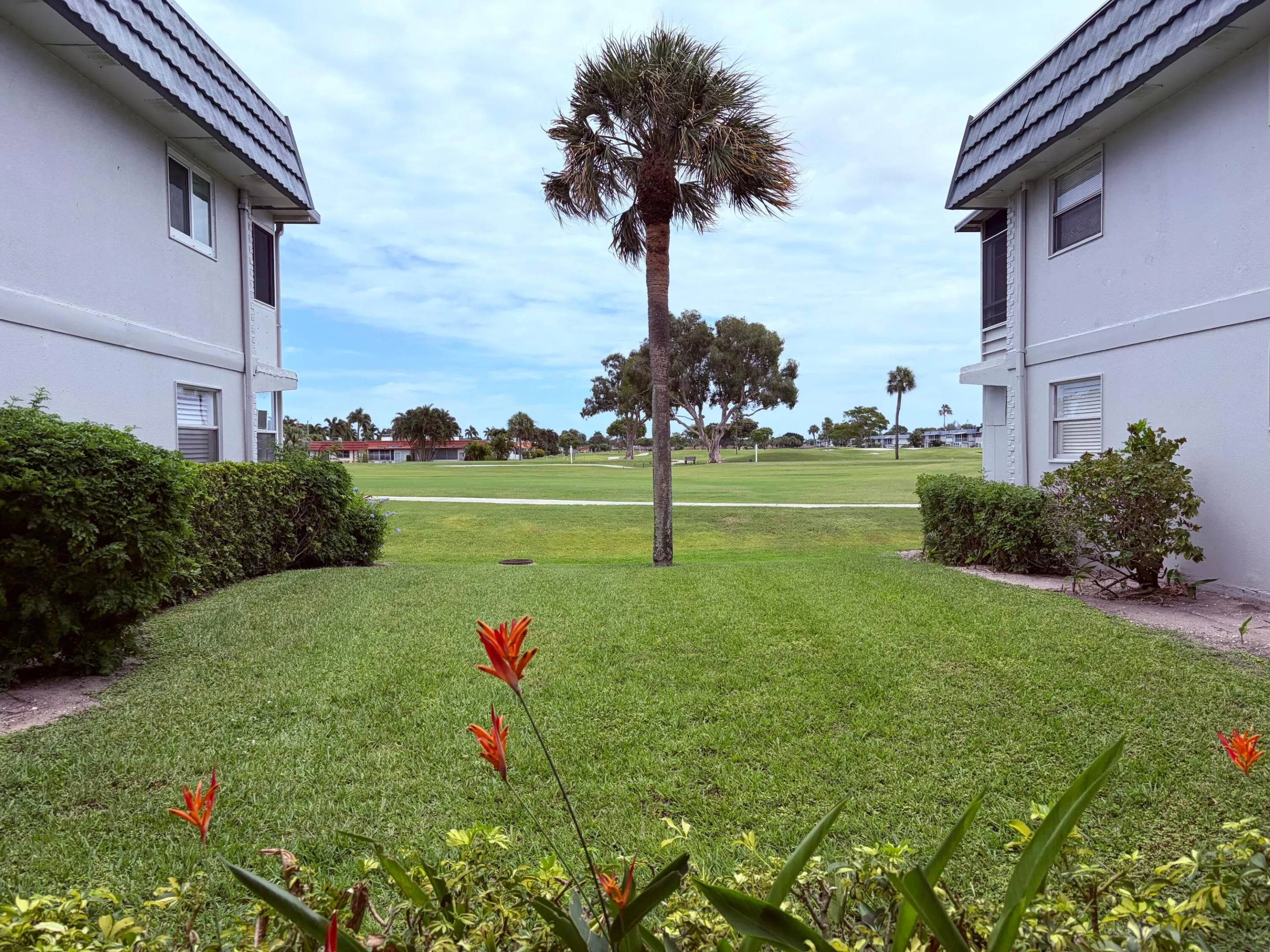 Golf view