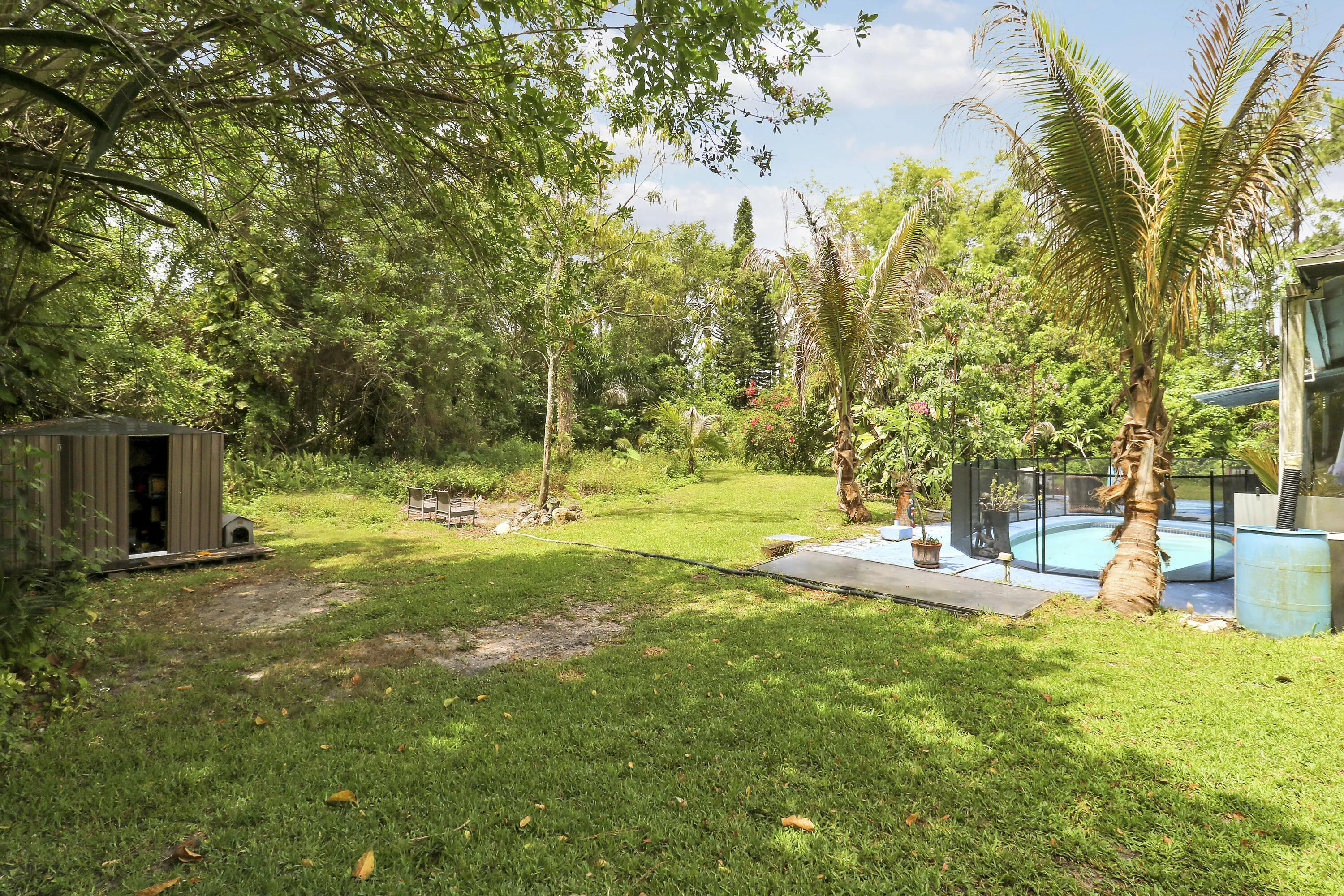 backyard
