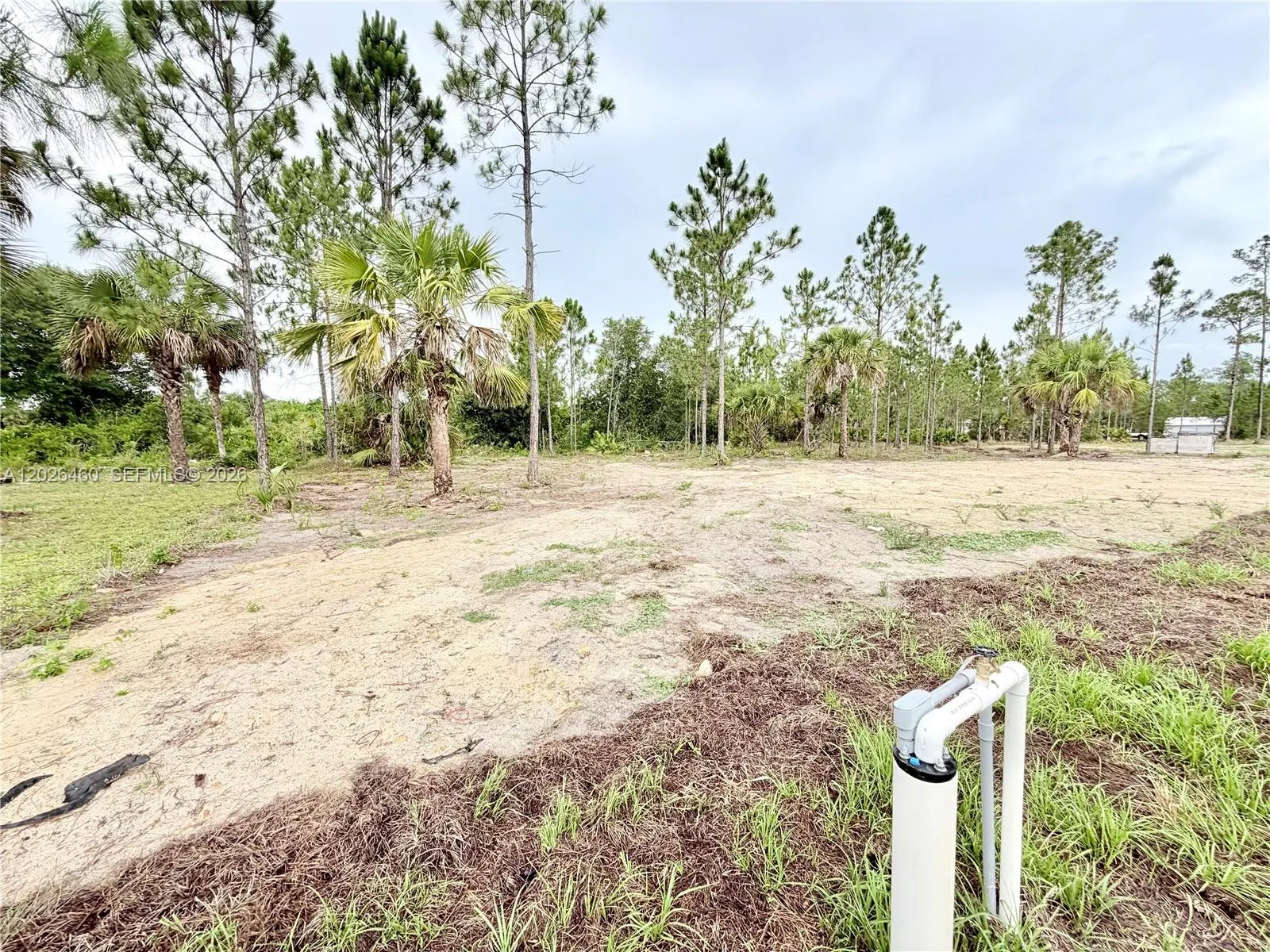 Property photo 49