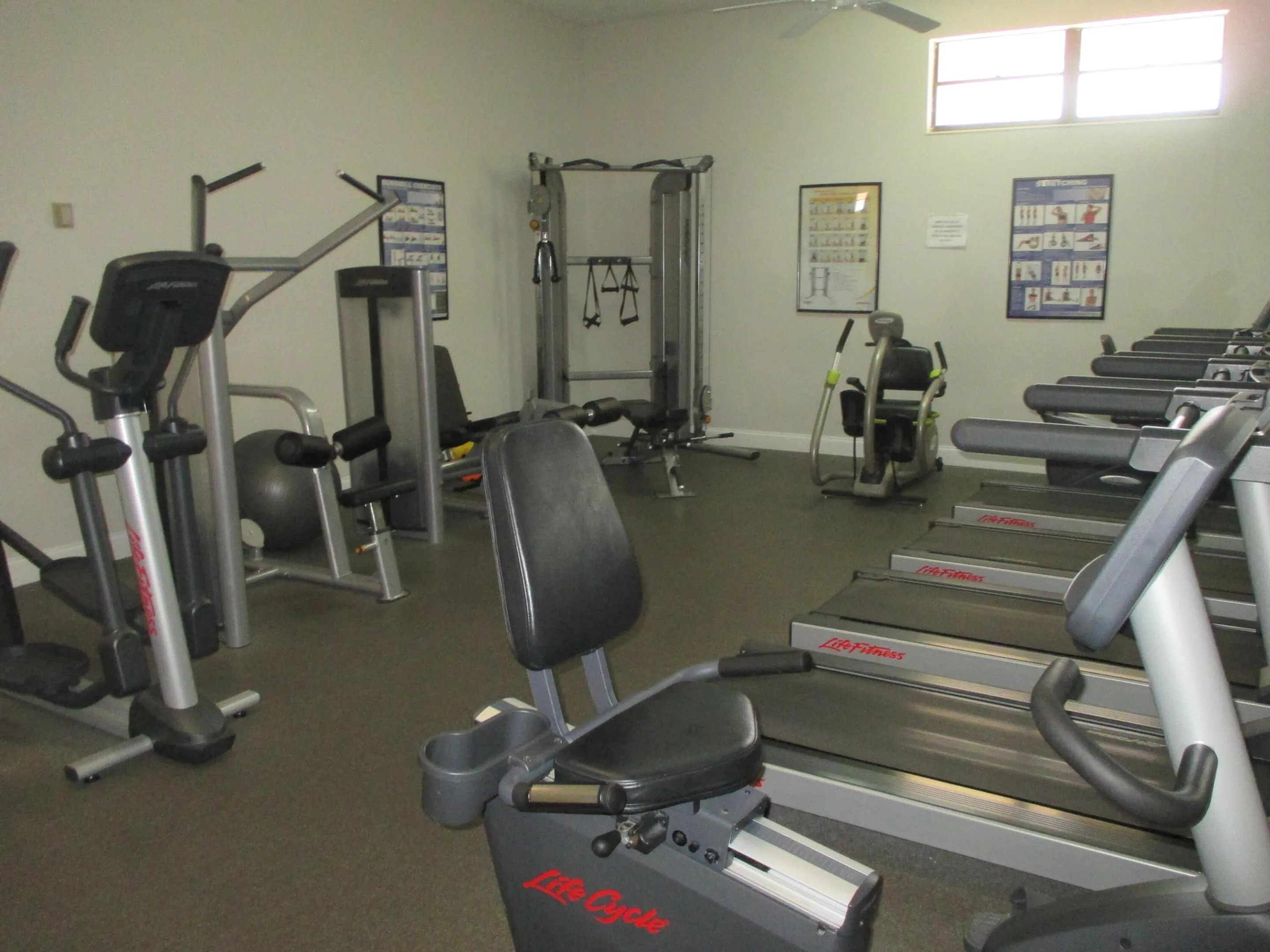 Gym