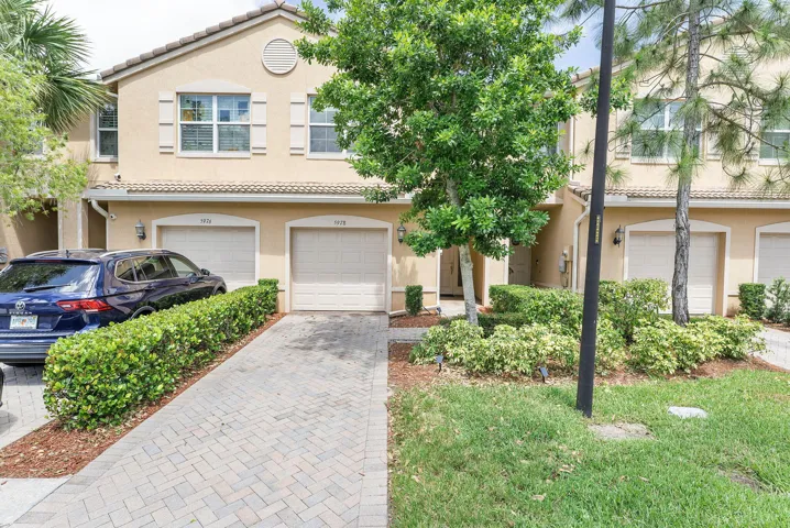 53-web-or-mls-DSC02534