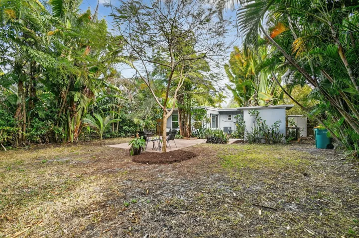 Backyard