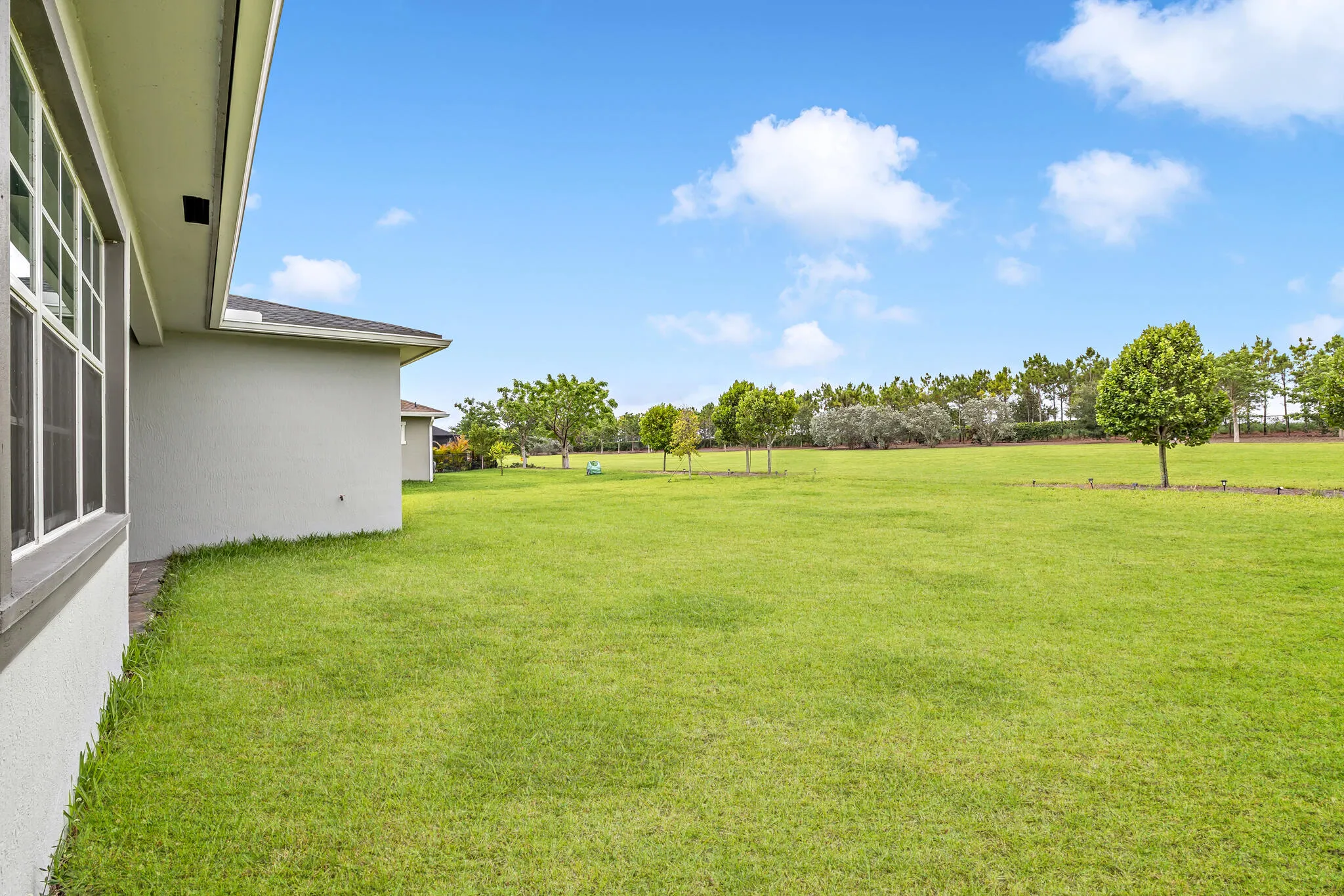 SIDE YARD