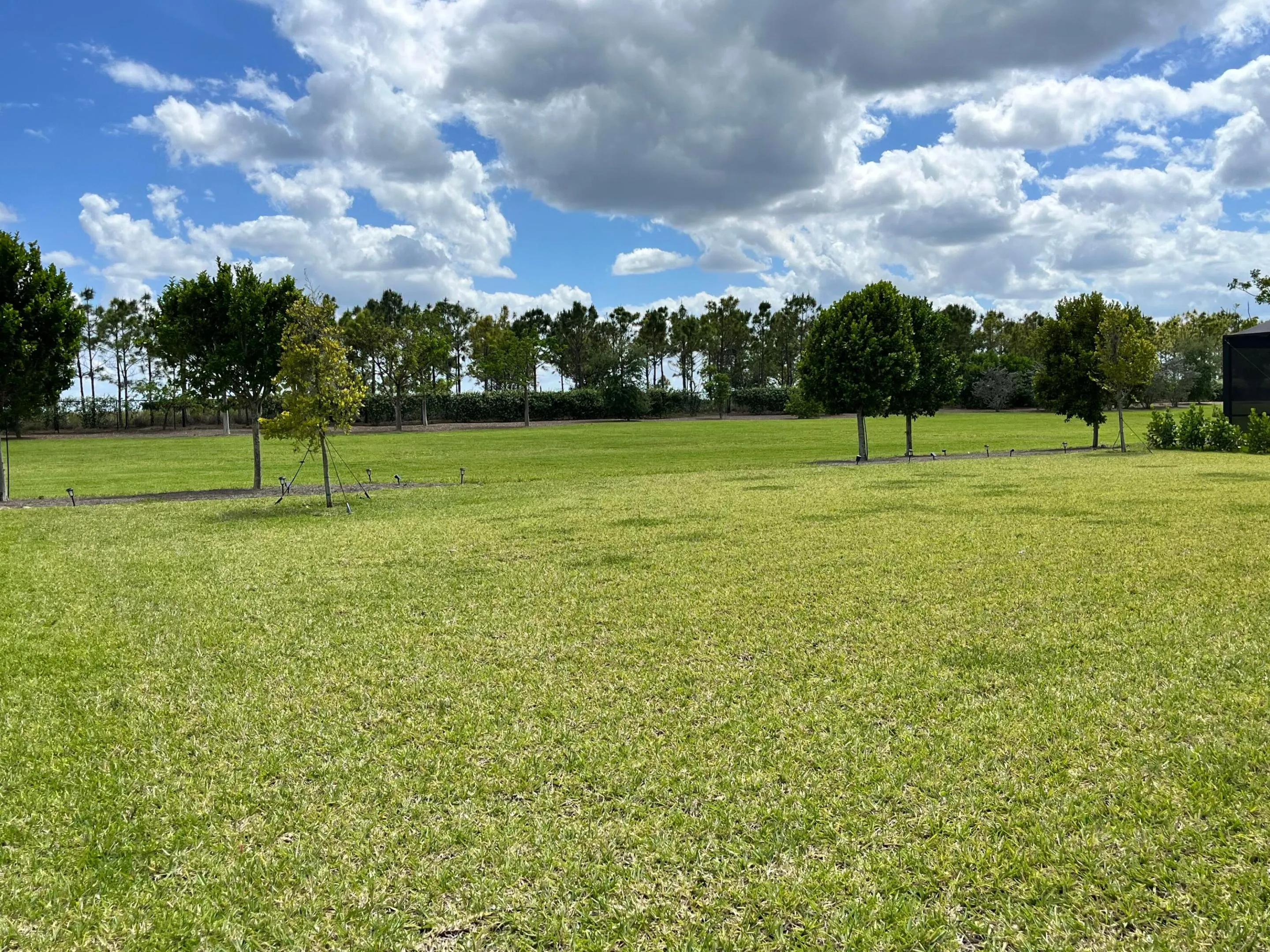 BACK YARD