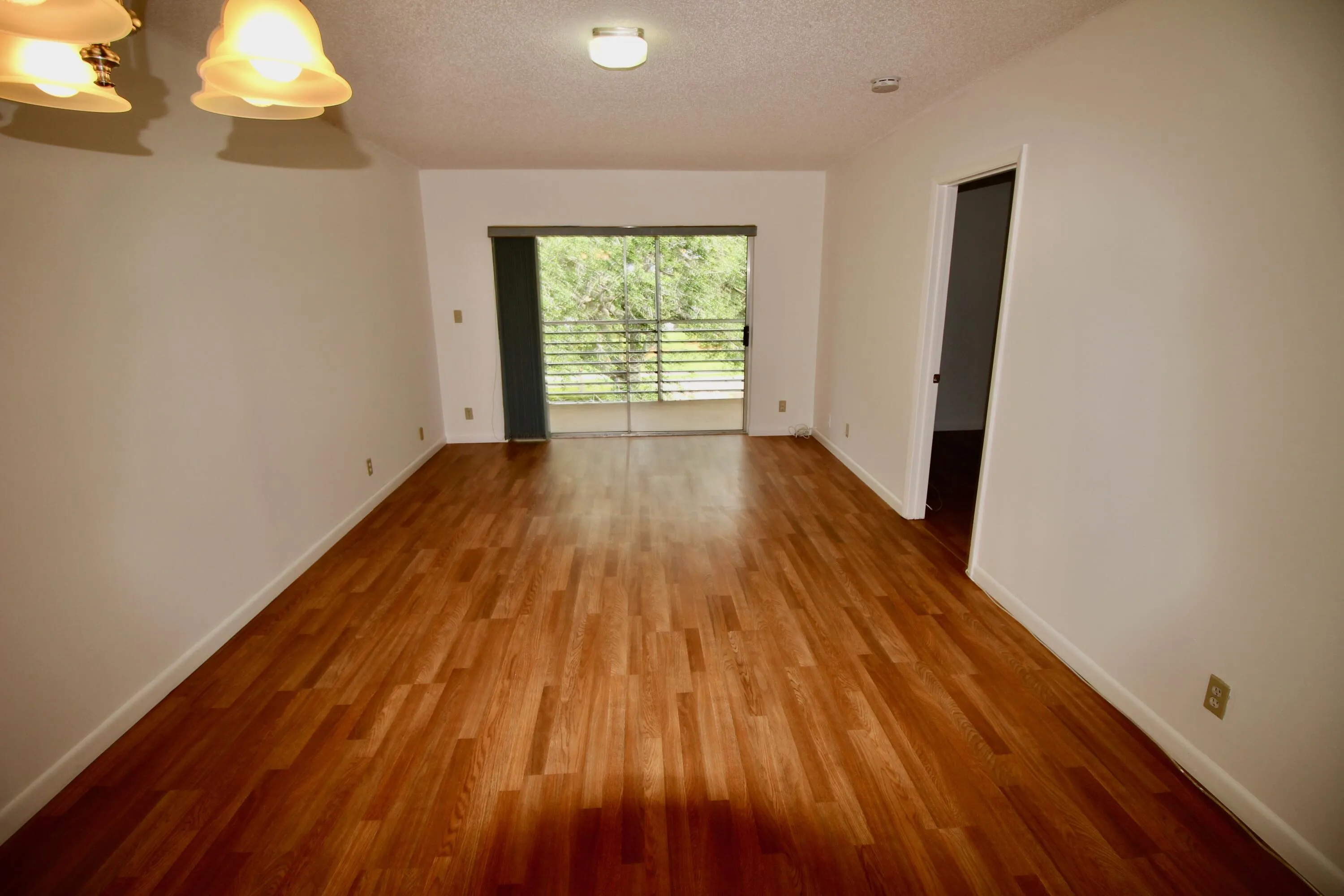 Dining - Living room