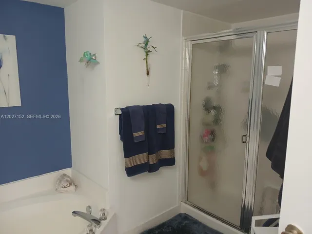 Master shower