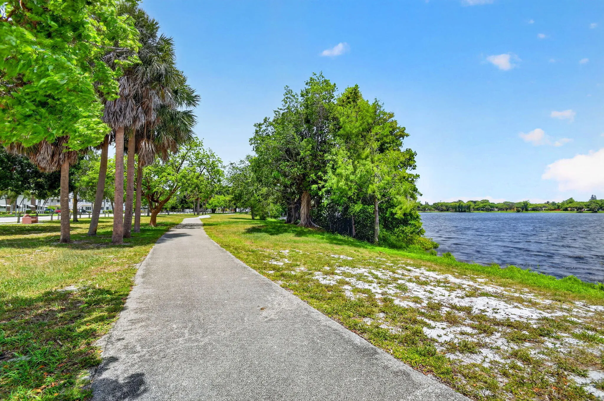 lake trail