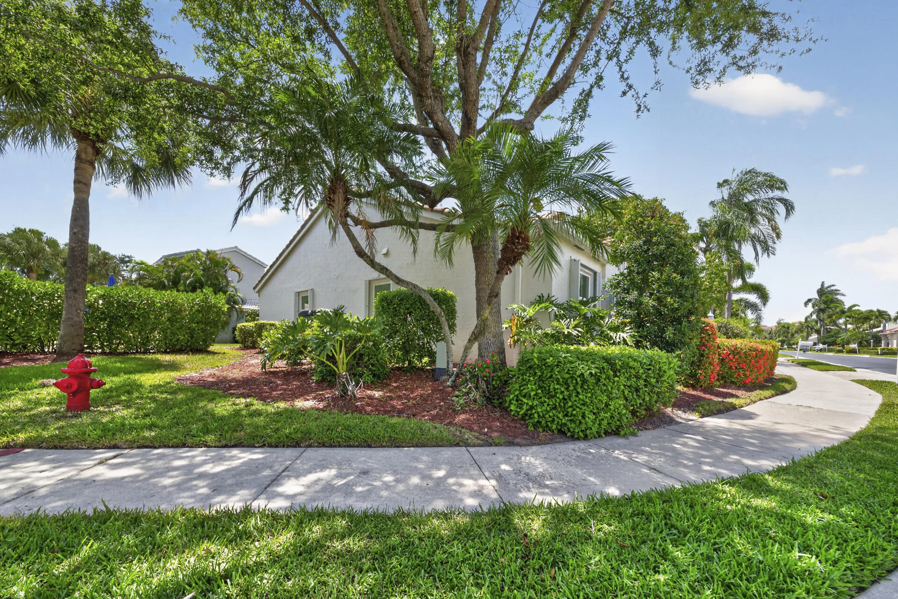 Spacious yard w/ no neighbor to the left.