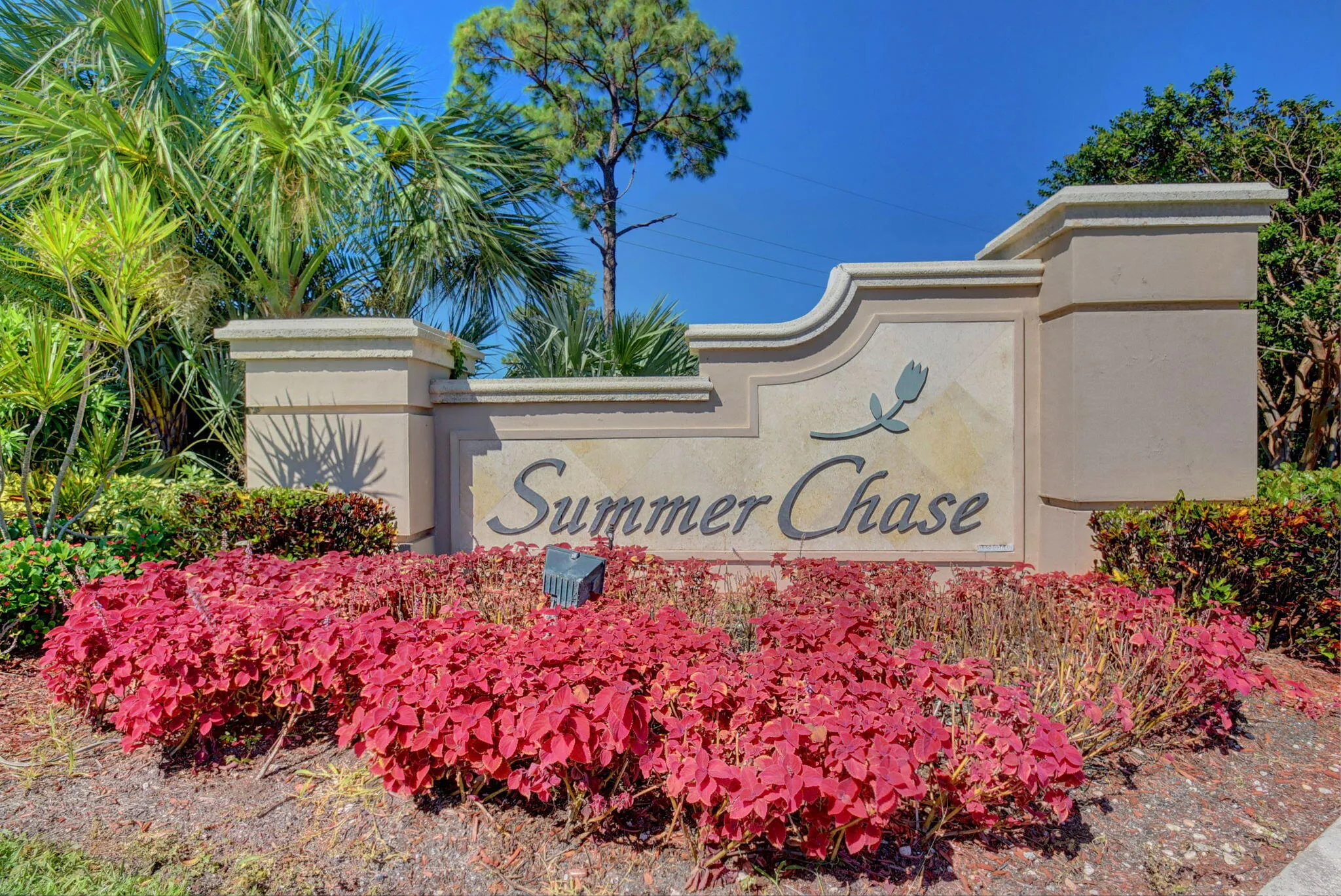 49-web-or-mls-Summer Chase (1)