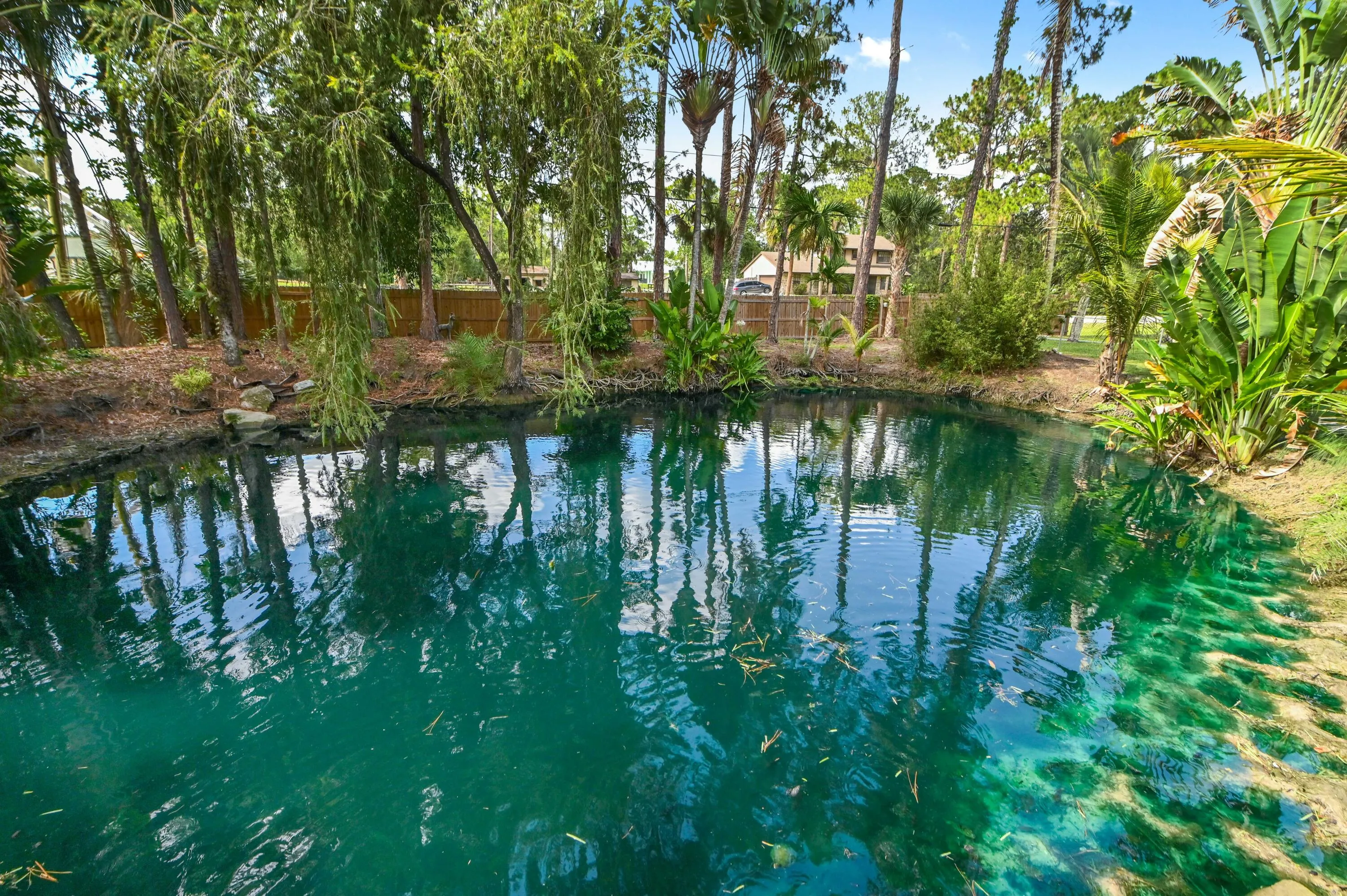 39 backyard pond 01