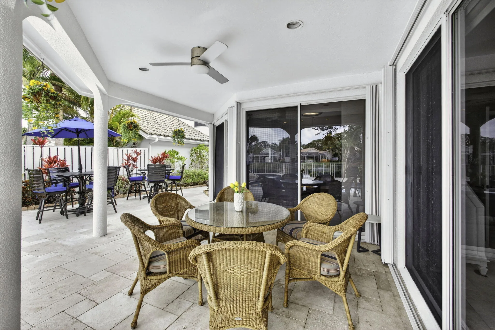 52-web-or-mls-5D1A5637