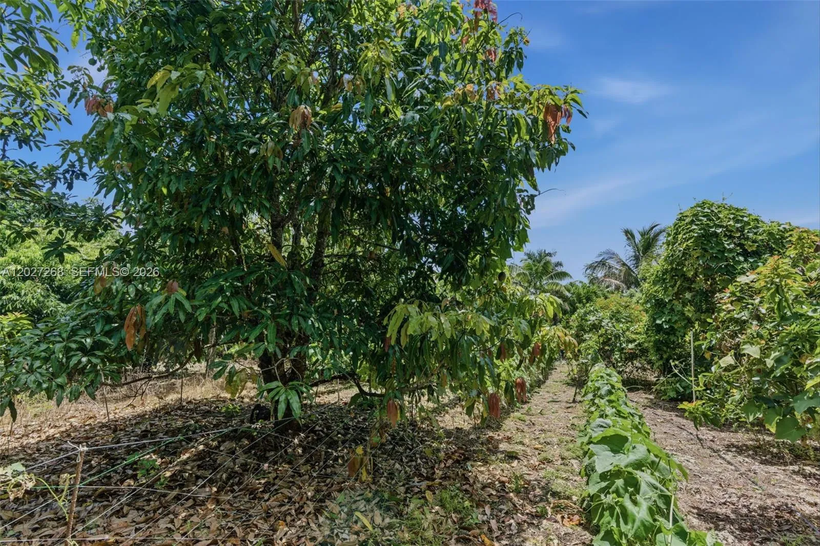 Property photo 31