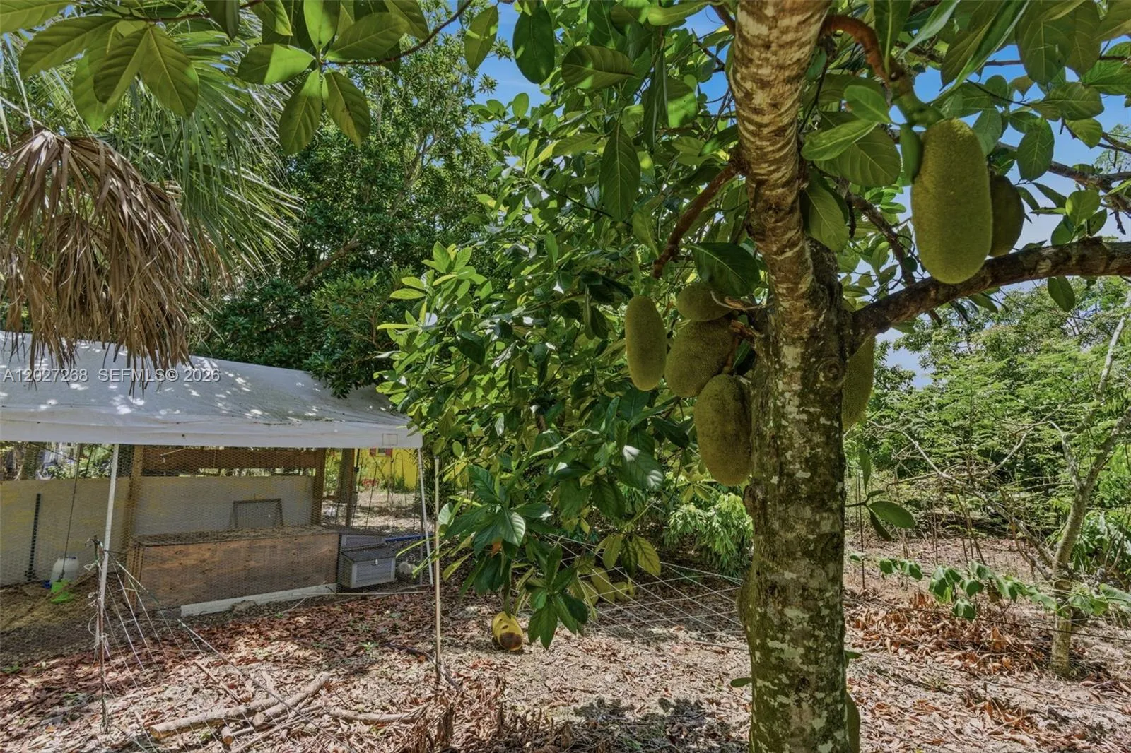Property photo 31