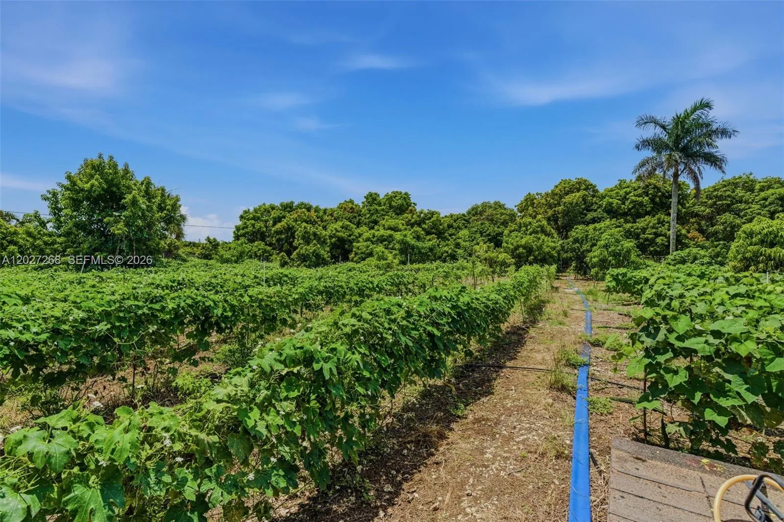 Property photo 25