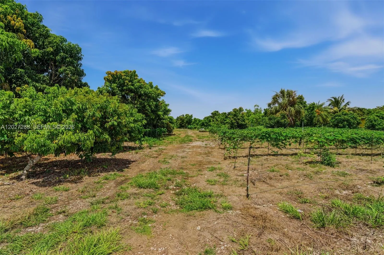 Property photo 22